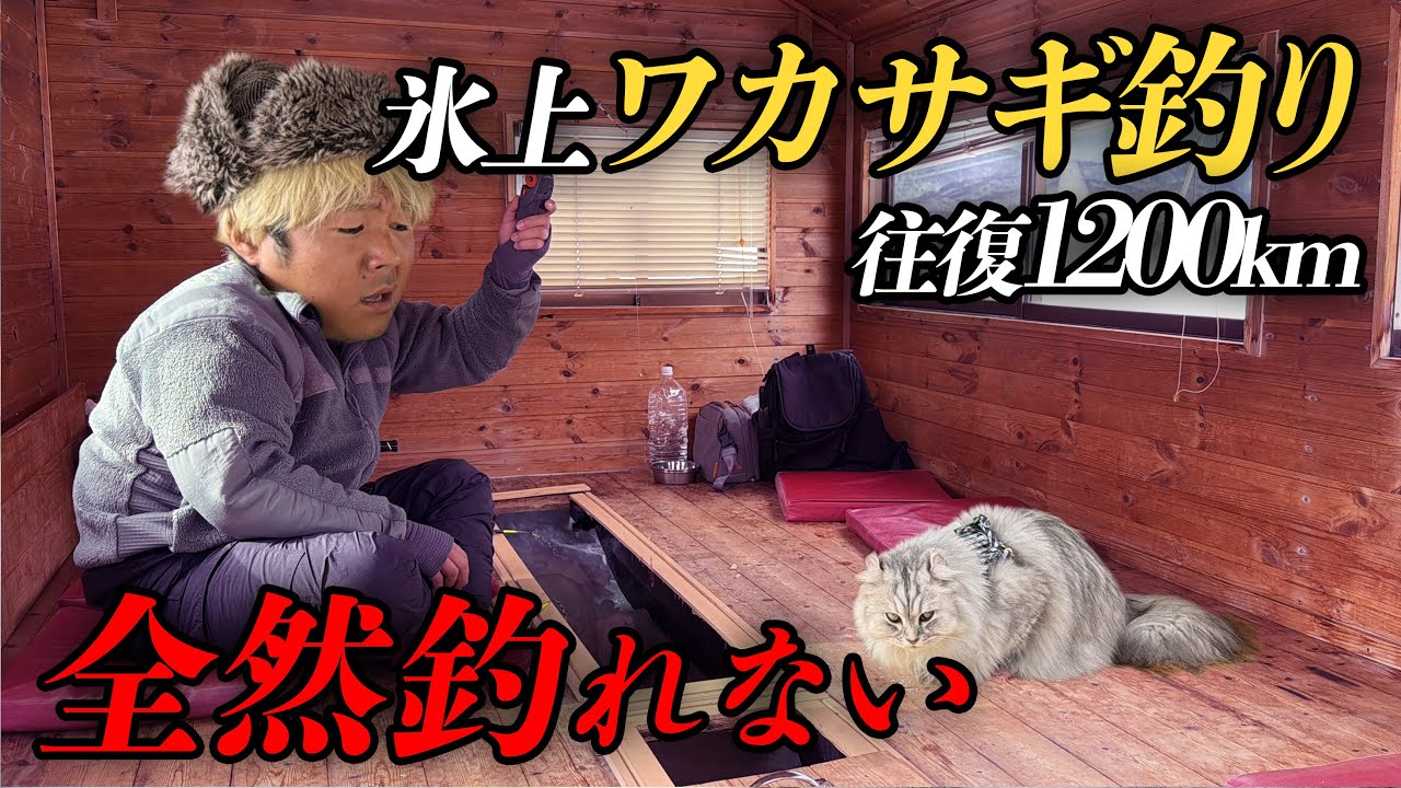 【大失敗】往復1200kmで釣果4匹！？猫に呆れられたワカサギ釣りの現実。【車中泊 / 福島遠征】
