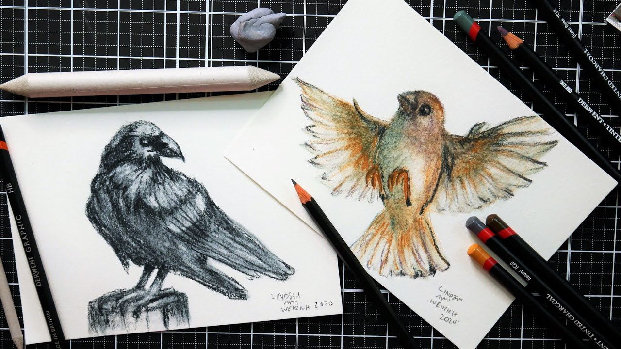 Birds Drawn with Tinted Charcoal- Smart Art Box July 2020