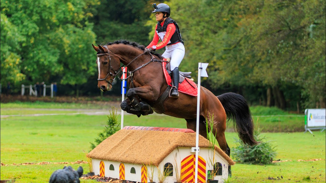 Molencaten Ruiterdag, Nederlands Kampioenschap, klasse L paarden, 19 oktober 2024