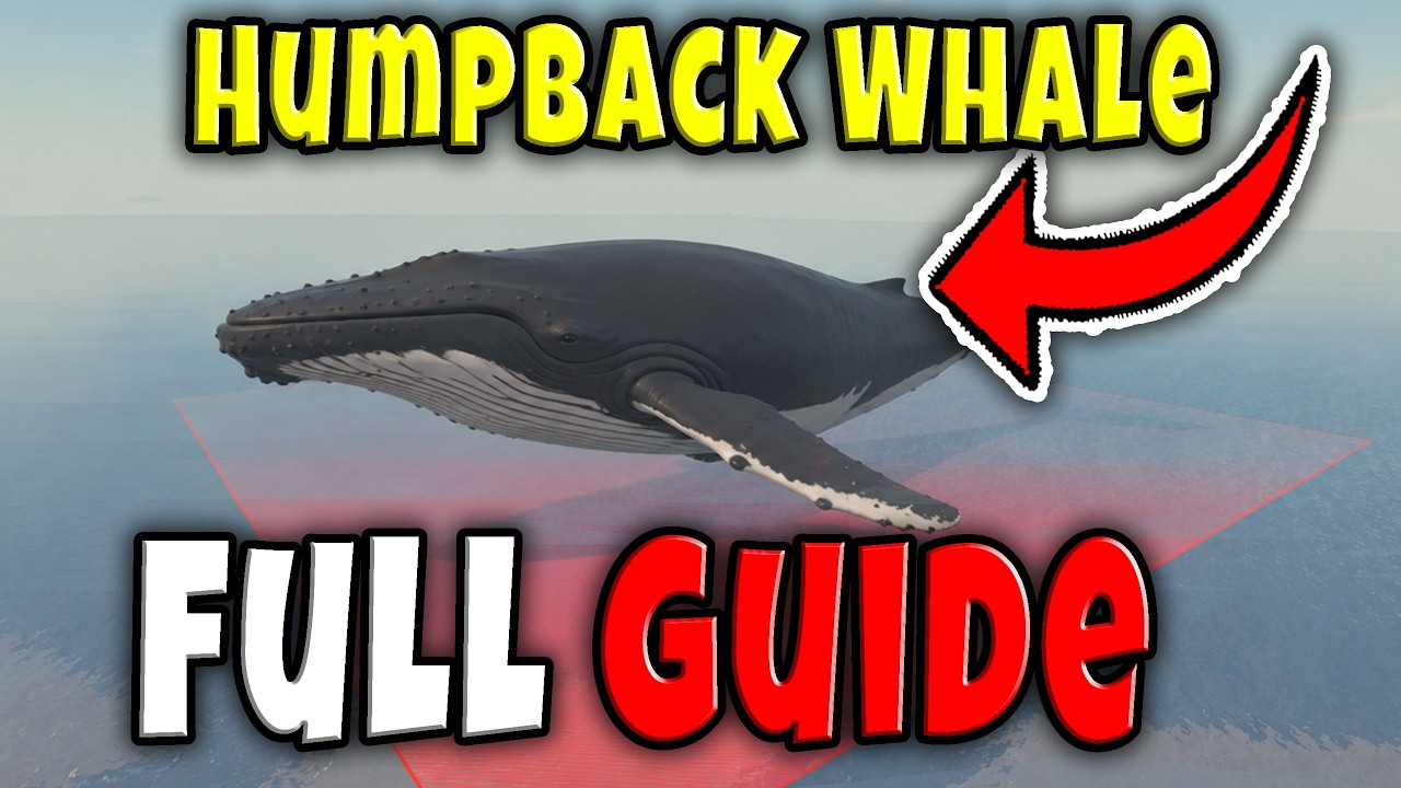 HUMPBACK WHALE MIGRATION FULL GUIDE in FISCH Roblox