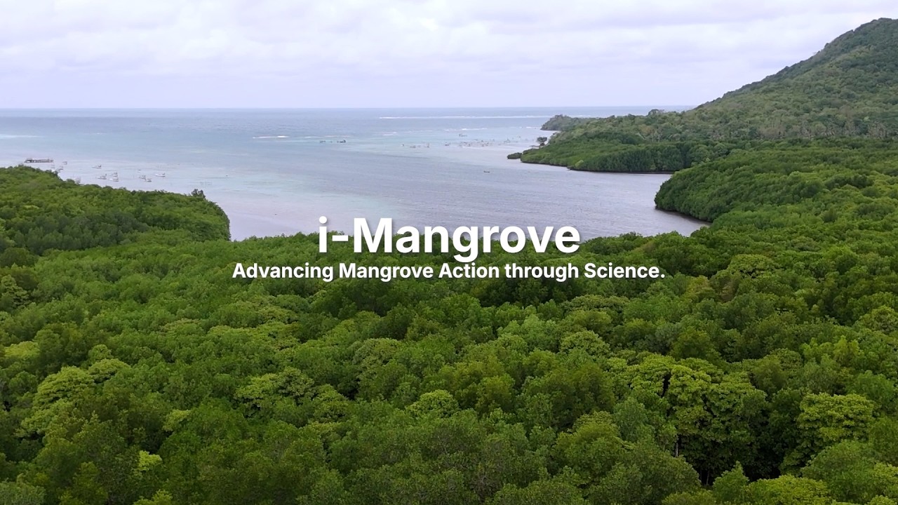 i-Mangrove Blue Carbon Dashboard