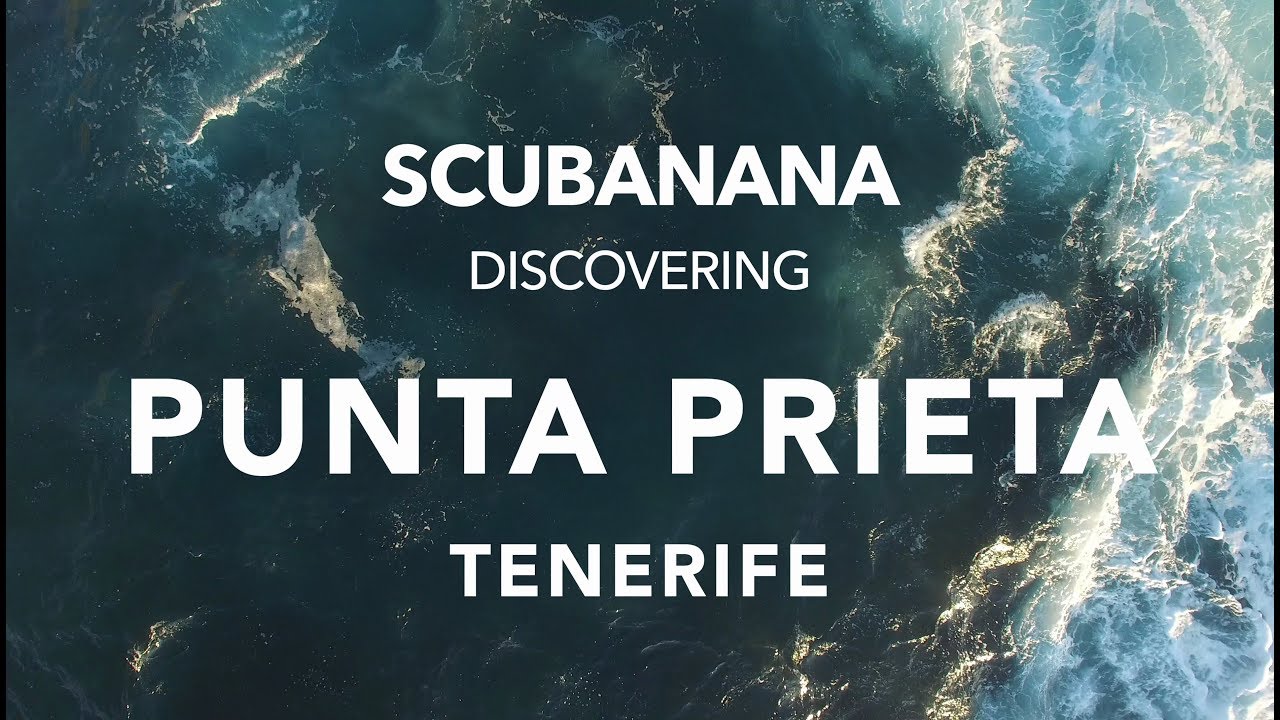 Diving on Canary Islands: Punta Prieta, Tenerife with Scubanana 4K