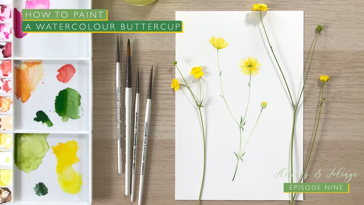 How to Paint a Watercolour Buttercup