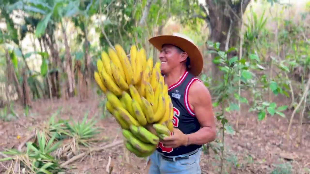 Este es el secreto para madurar en tres días una cabeza de guineo seda