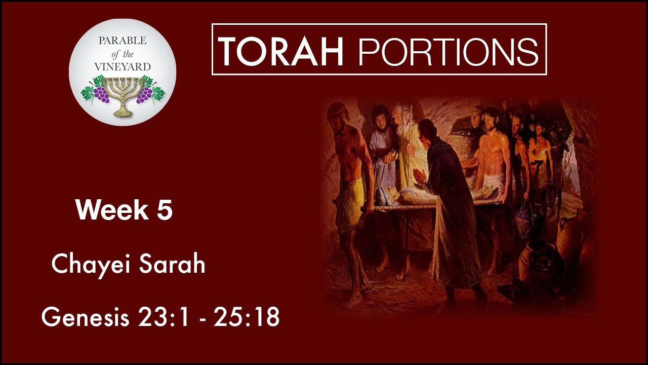 Torah Portions - Week 5 - Chayei Sarah l חַיֵּי שָׂרָה l &ldquo;Life of Sarah&rdquo; - W/ PoTV