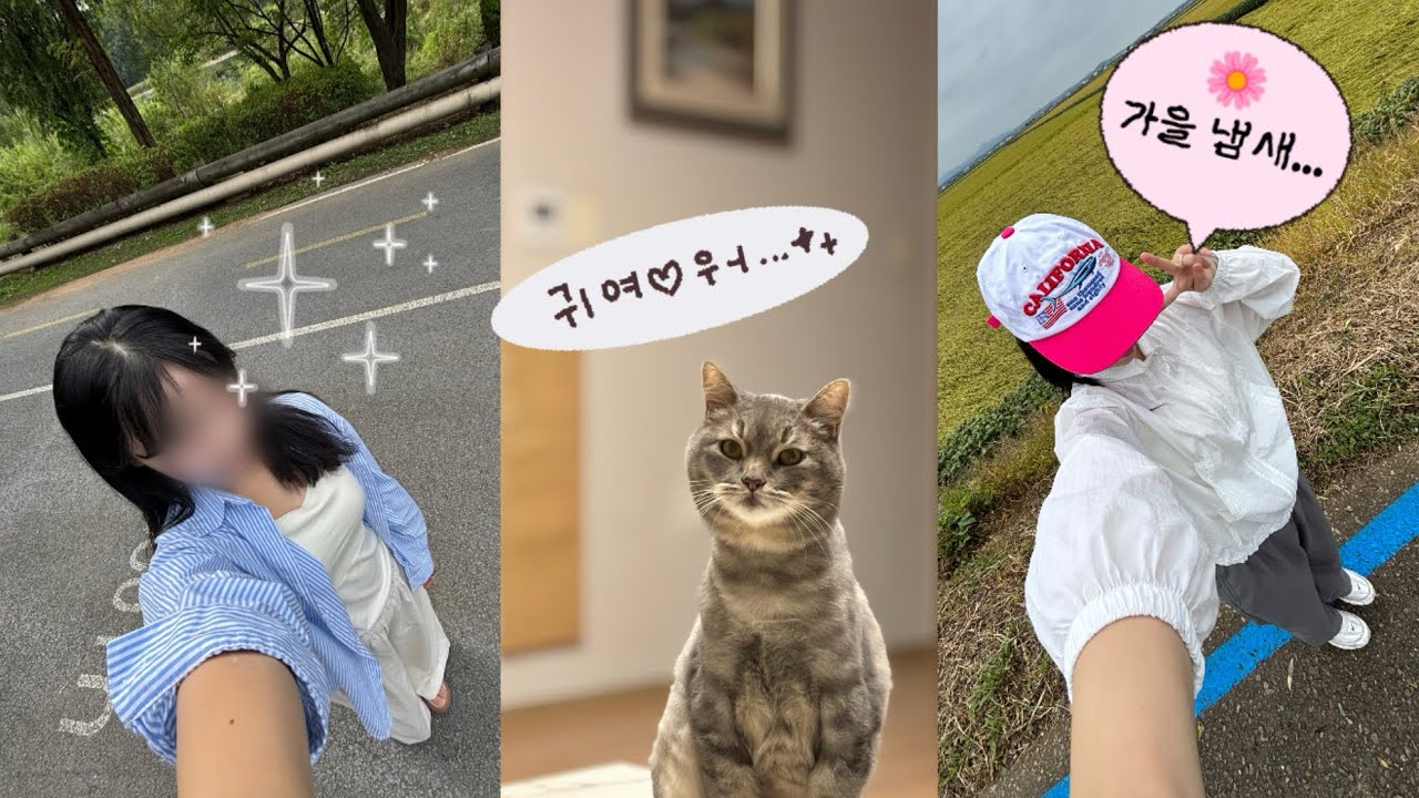 회사 다니고, 운동 하는 일상 (드뎌 연휴시작)