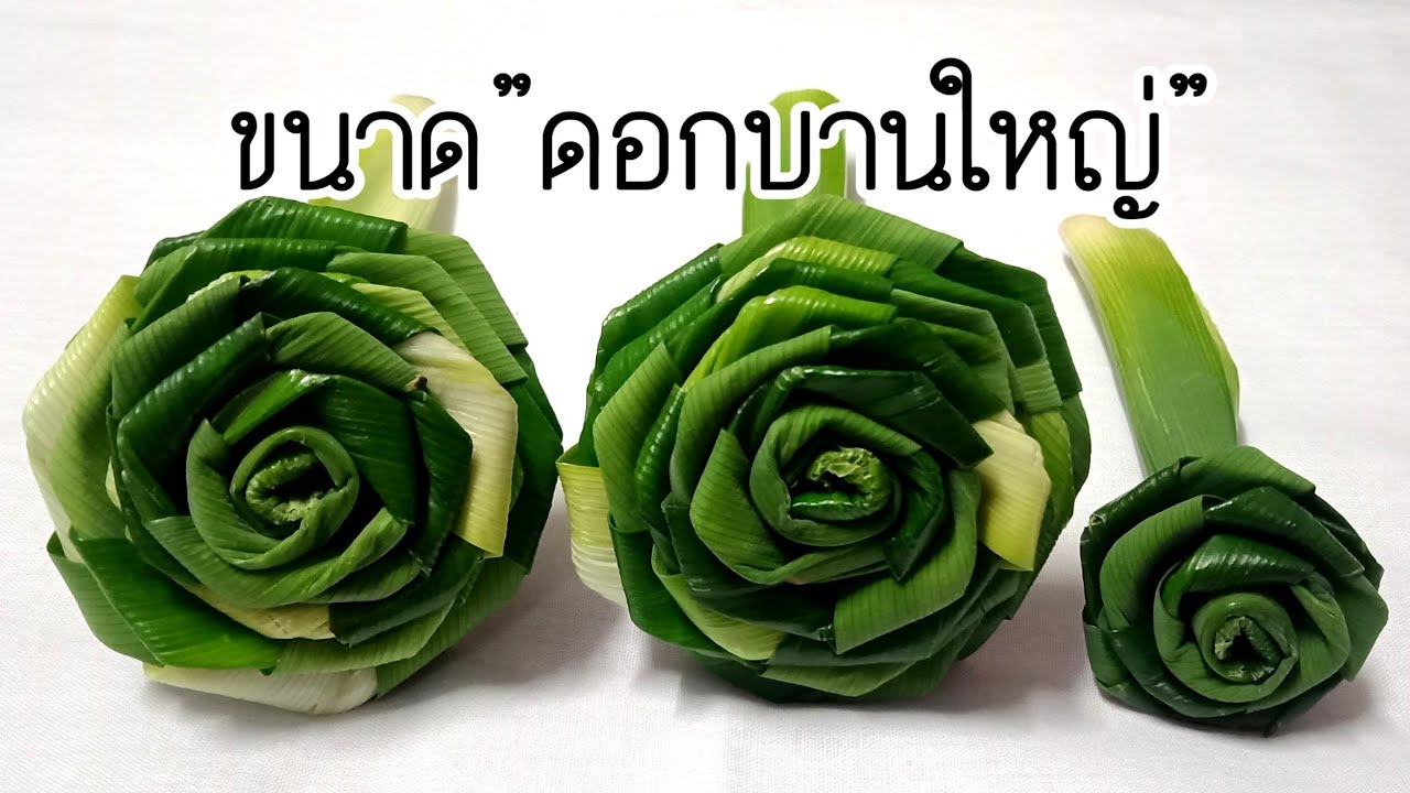 วิธีพับดอกกุหลาบใบเตยดอกบานใหญ่