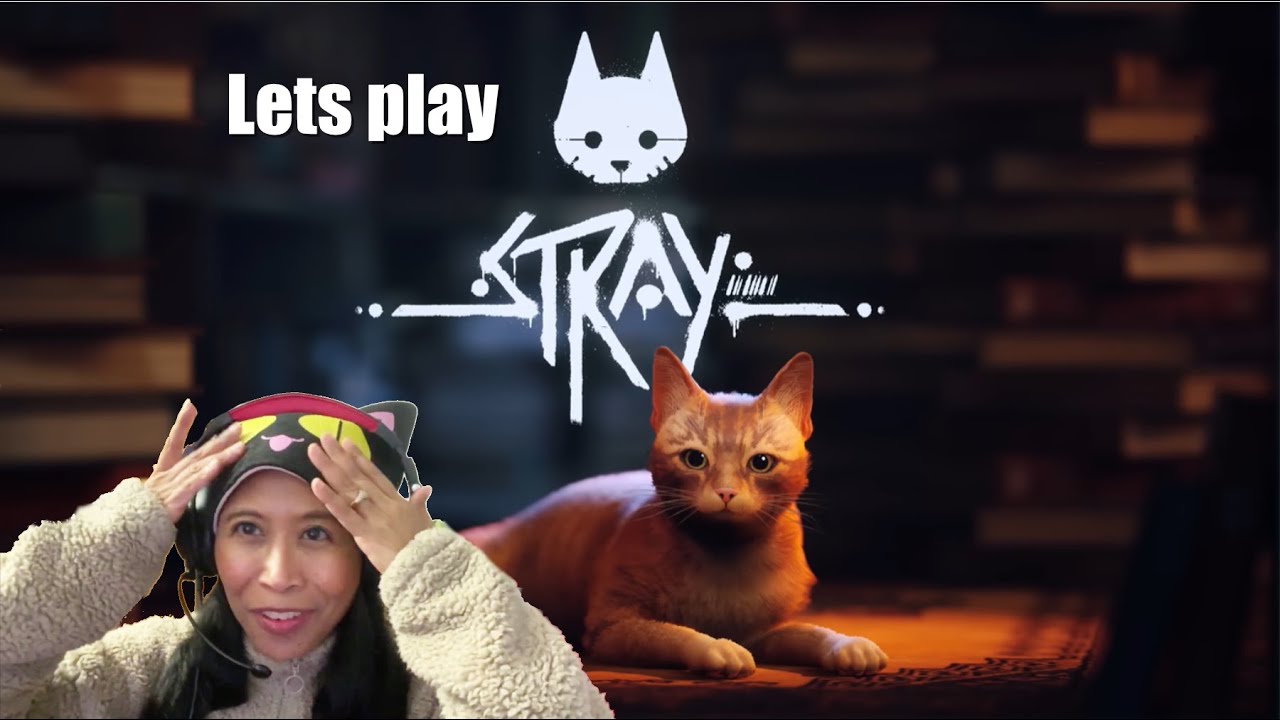 Stray p2 Lets help find the 4 notebooks