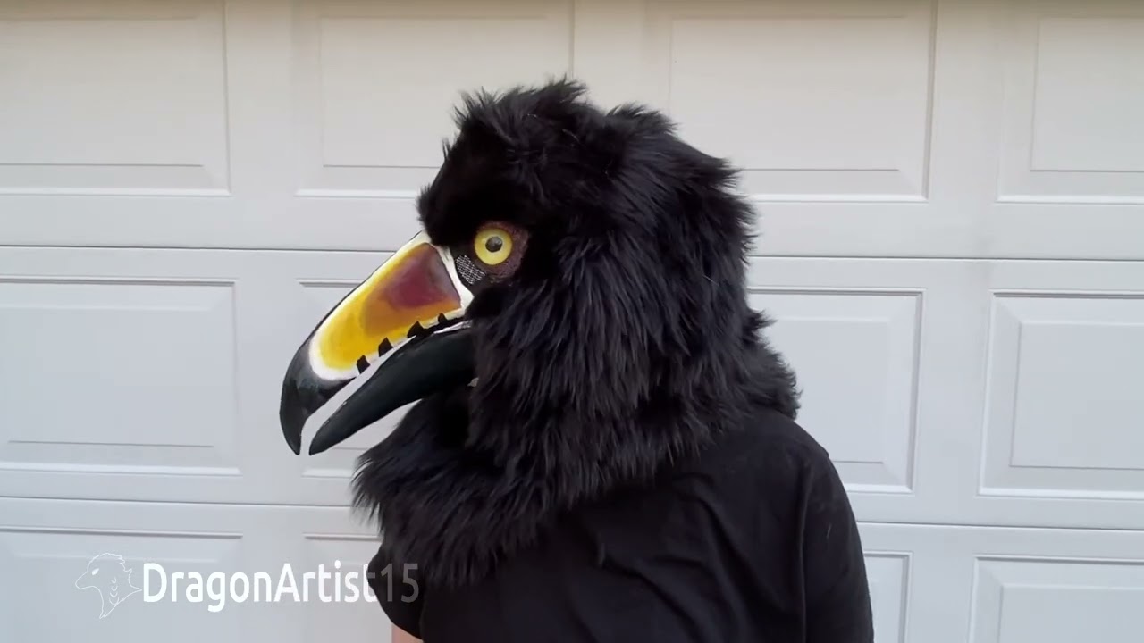 Collared Aracari  Mask Movement Demo