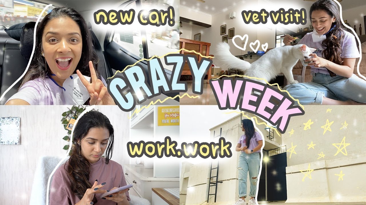 ✨a crazy week in my life | new car, vet visit, LOT of work | #JuneJourney Episode 30|Meghna Verghese