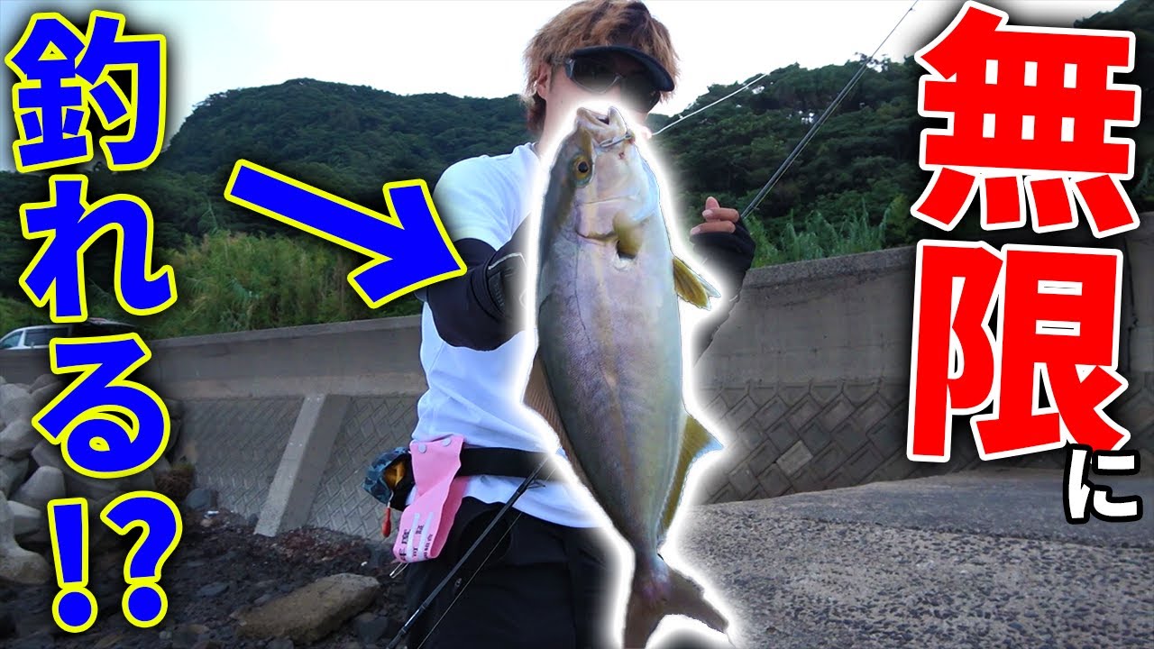 青物が無限に釣れる堤防を見つけてしまった・・・