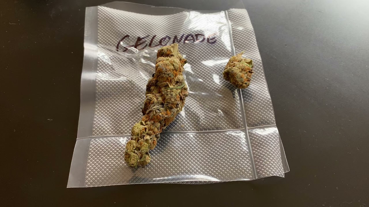 GELONADE