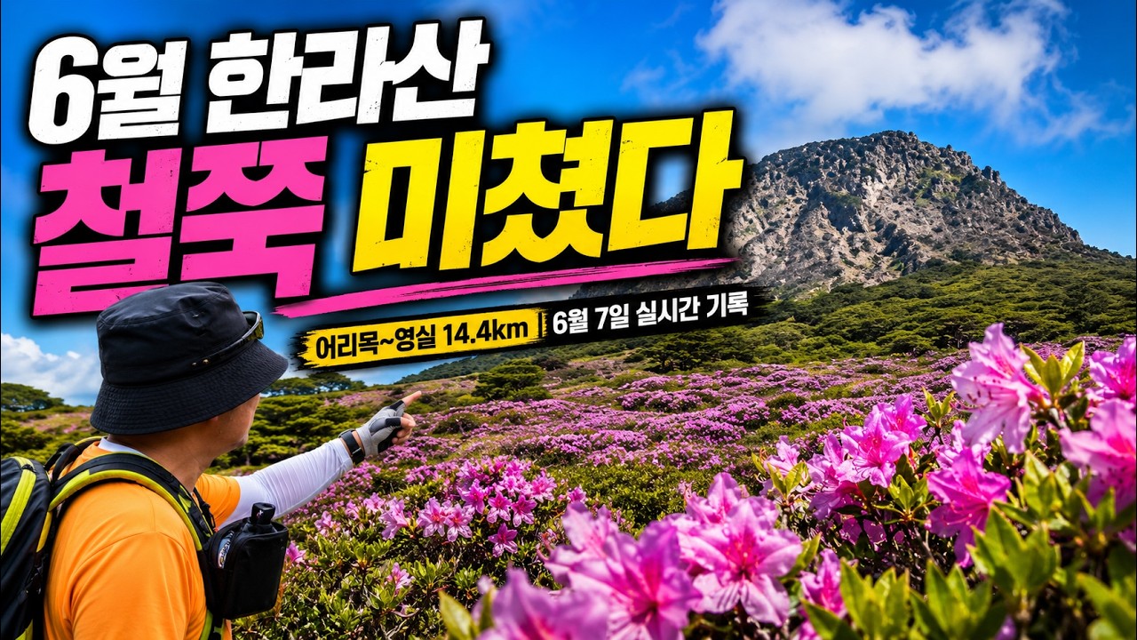 지금, 한라산은 철쭉이 미쳤다 | 6월 7일 어리목~영실 14.4km | 철쭉 대폭발🌺