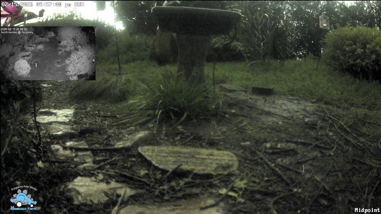 Purgatory North Garden Stream