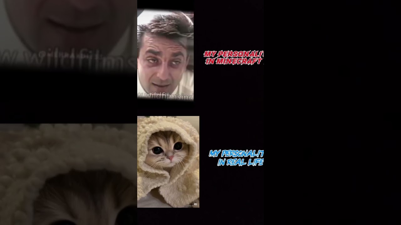 my personality I'm minecraft vs real life 🧬 