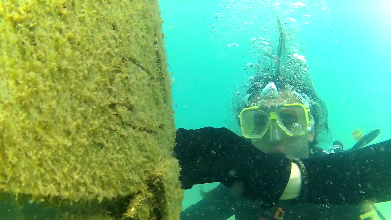 Underwater sulpture at Horseshoe Bay, Bowen Queensland