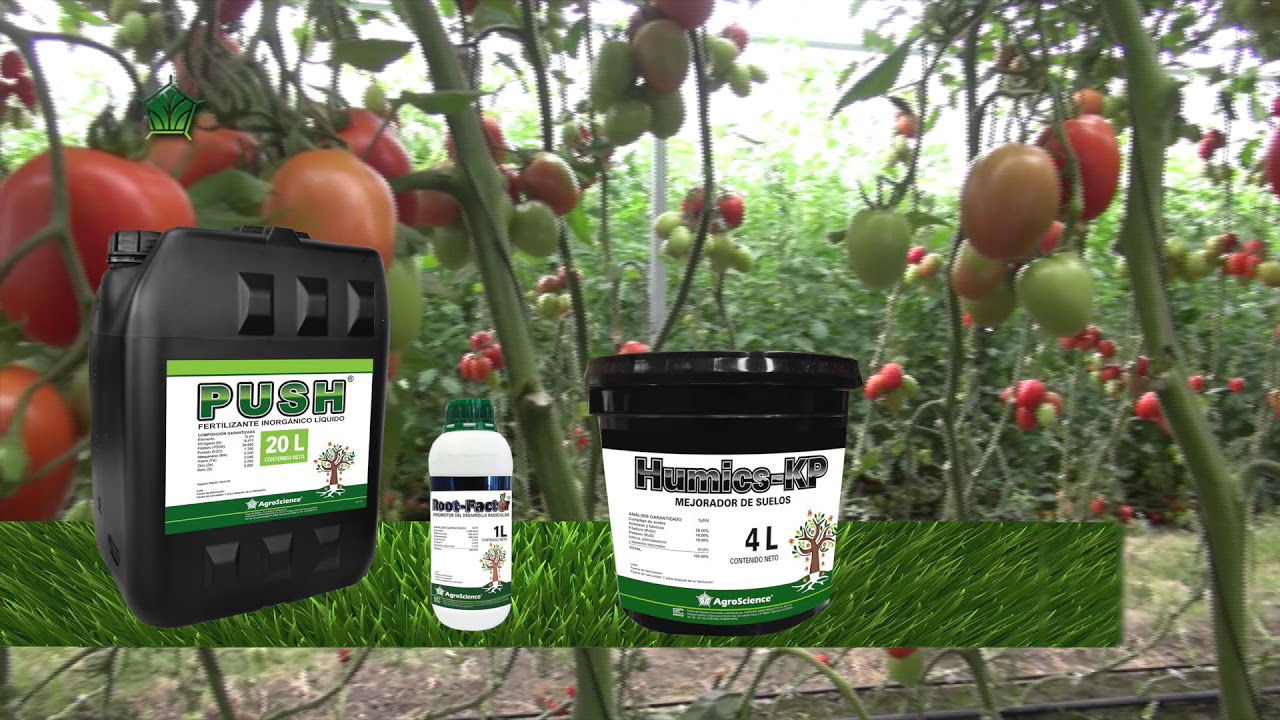 AgroScience | Tomate | Reducci&oacute;n de Costos en Pesticidas