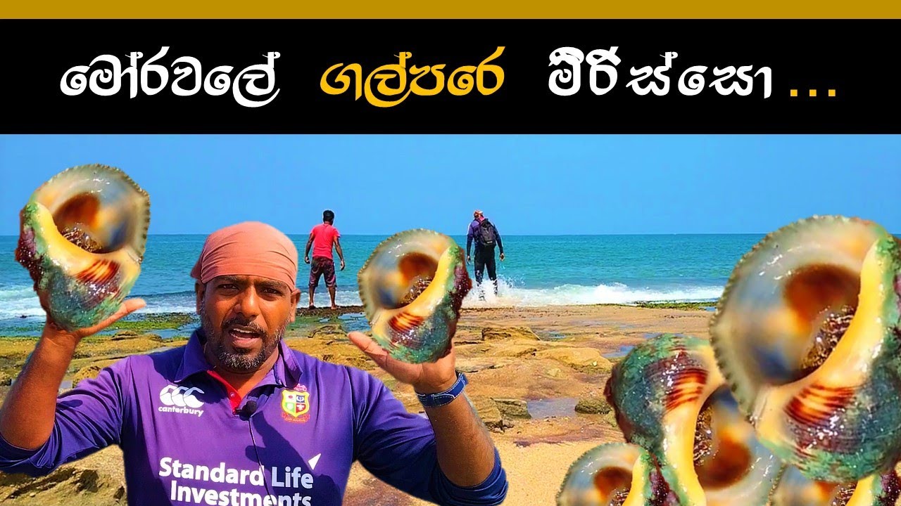 ගල්පරේ මීරිස්සන් දඩයම | මීරිස්සන් සම්බෝලෙ 🤩👣🍺