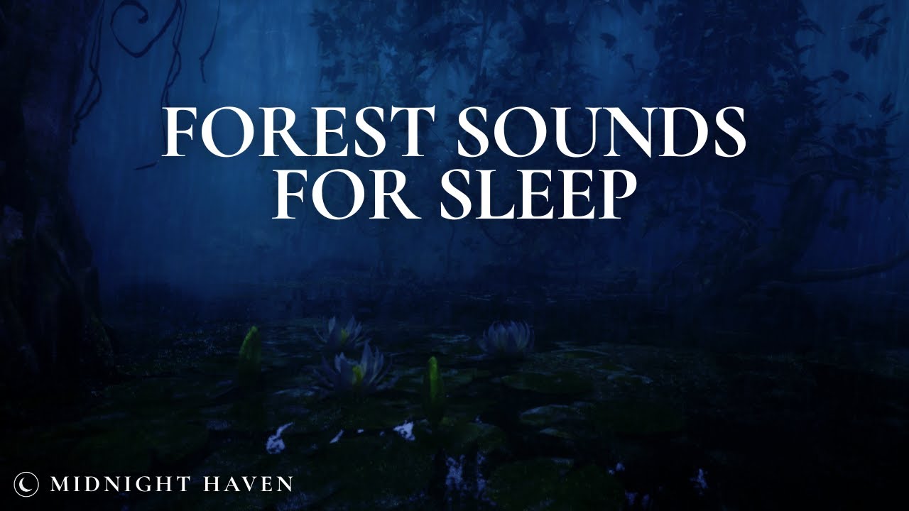 Night Forest River Sounds for Sleep | 8 Hours of Calm Nature Ambience 🌙