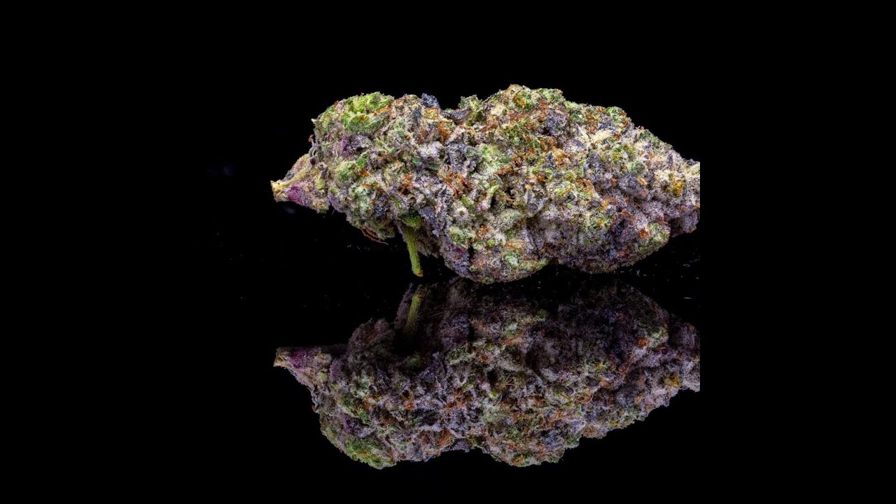 Whoa Si Whoa Strain Review Featuring Top Shelf Cultivation In California