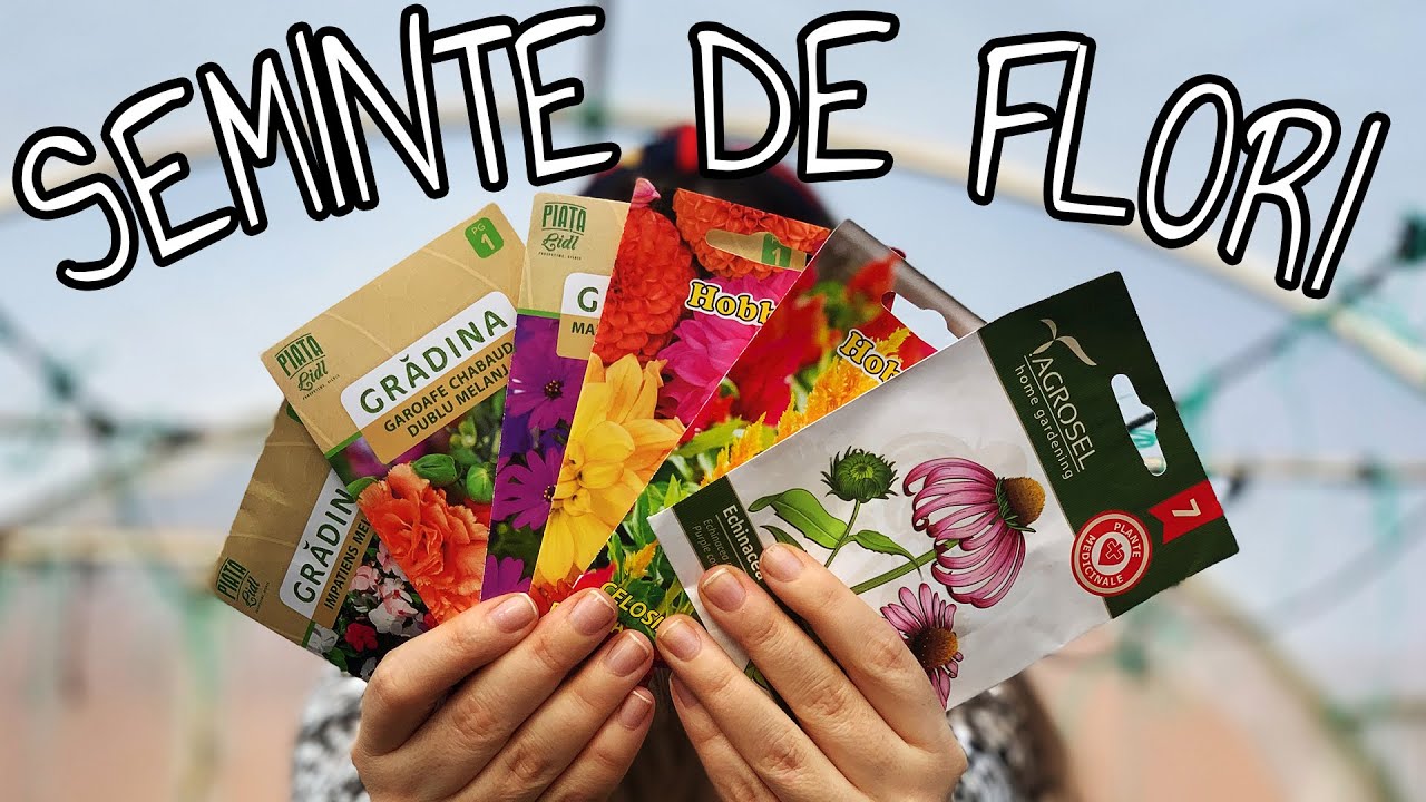 Ce seminte de FLORI am plantat in luna Martie