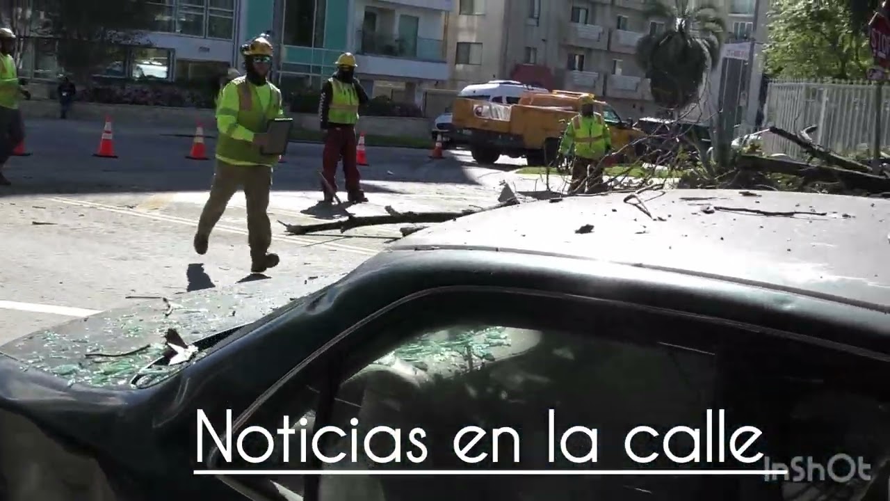 Daños causados por los desastres naturales de la lluvia y viento del 18/02/2026 