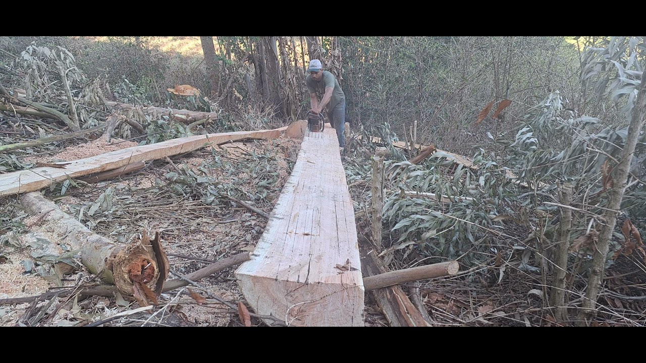 profissional