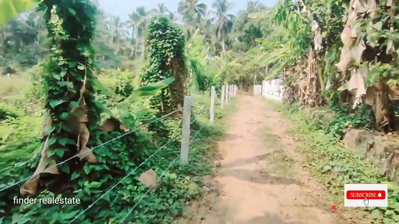 Kozhikode pookad koyilandi road plot for sale