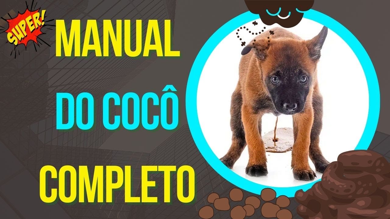 [MANUAL] COMO CURAR UM CACHORRO OBSERVANDO O COCÔ CUIDAR DE CÃES DOENTES VENDO AS FEZES E DIARREIA