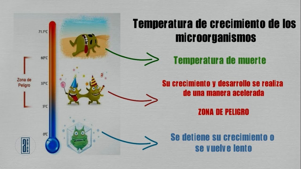 🍇 CURSO MANIPULACIÓN de ALIMENTOS Parte 2 👨‍🍳 / Alimentos con Calidad ✅