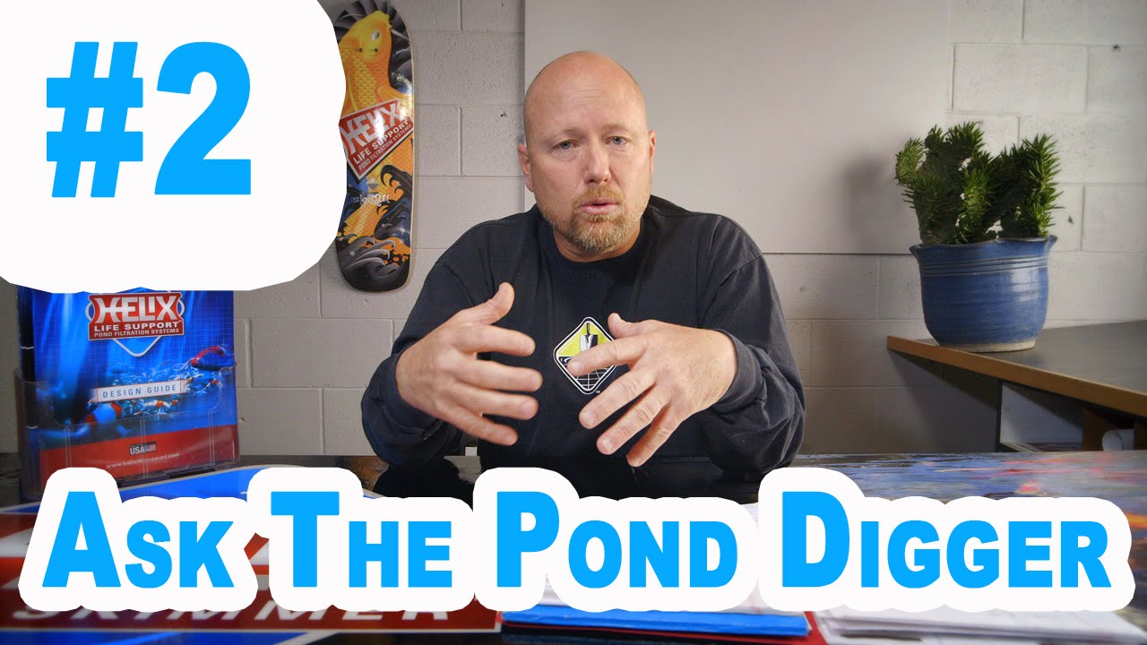 Ion generators, Bottom Drains, Fish Friendly Pond skimmers - Ask T.P.D. Show #2