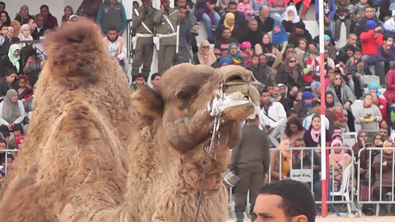 المهرجان الدولي للصحراء بدوز الدورة 48