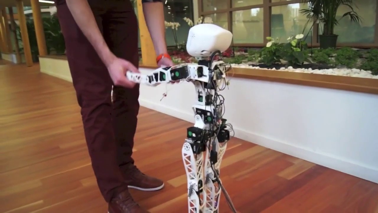 Robot Poppy  Pierwsze kroki  Poppy Humanoid first steps