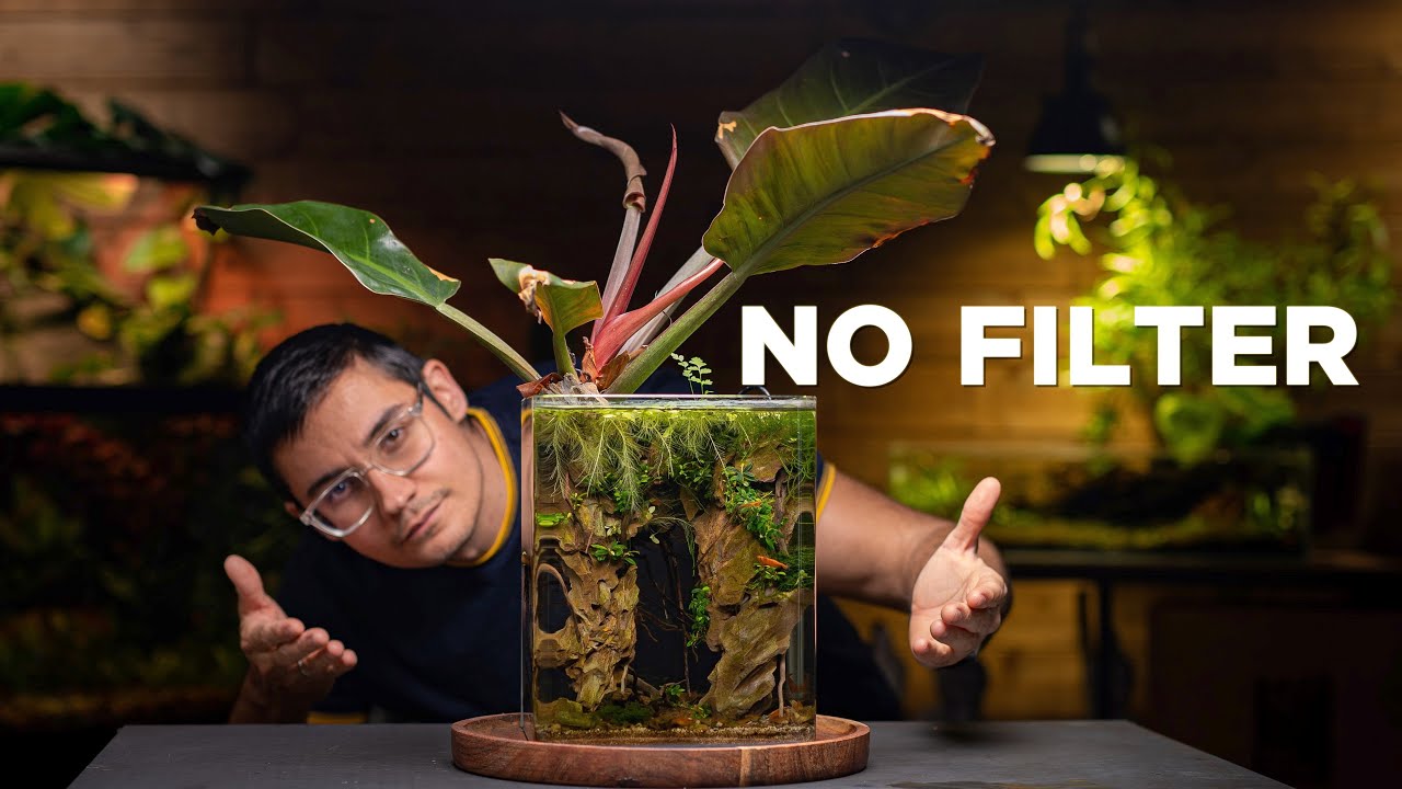 No Filter nano Aquarium for Sakura Shrimps