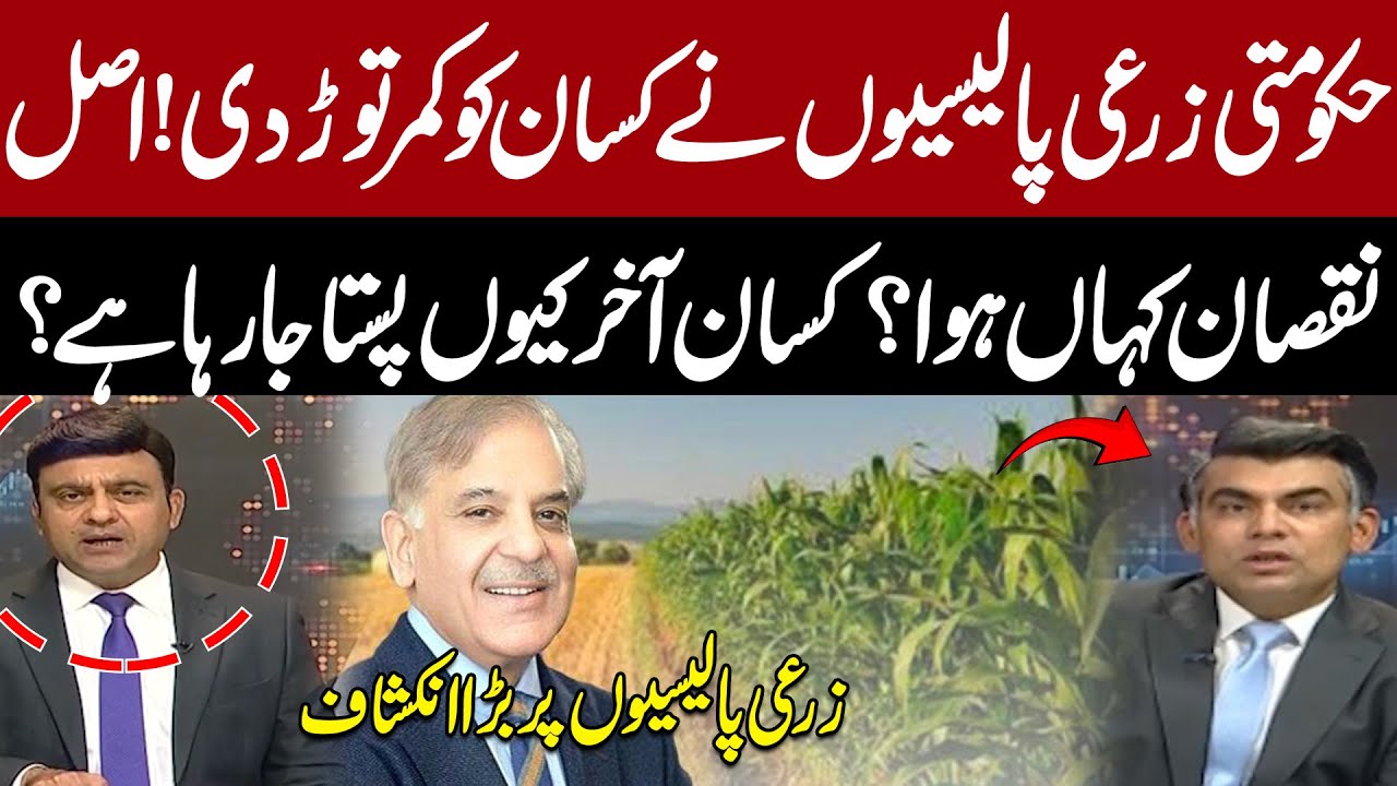 Government Agricultural Policies Breaking Farmers’ Backs! Where’s the Real Loss? | Pakistan News