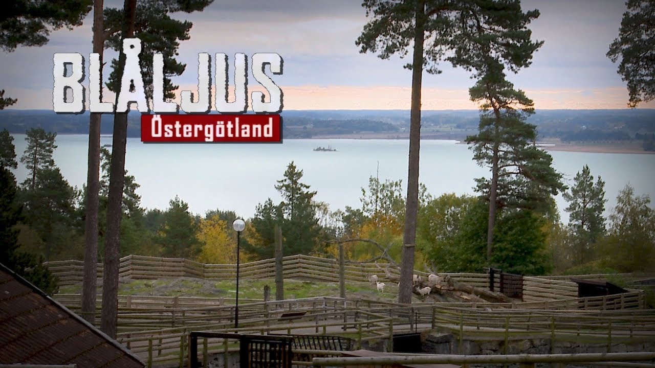 Blåljus om säkerheten på Kolmården