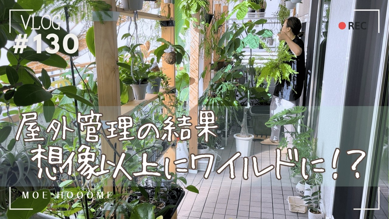 【屋外管理の結果…】植物が想像以上にワイルドに⁈（Vlog/130）