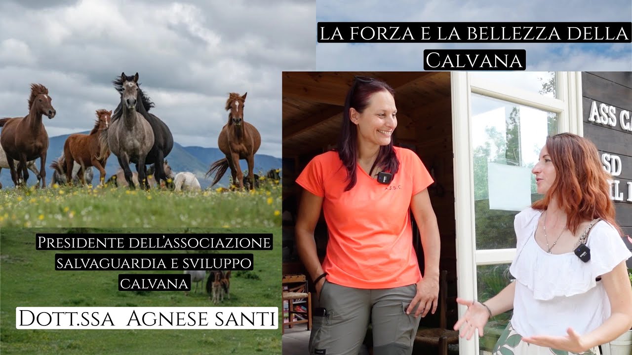 Ep.15 I CAVALLI SELVAGGI DELLA TOSCANA un incredibile storia raccontata da Agnese Santi