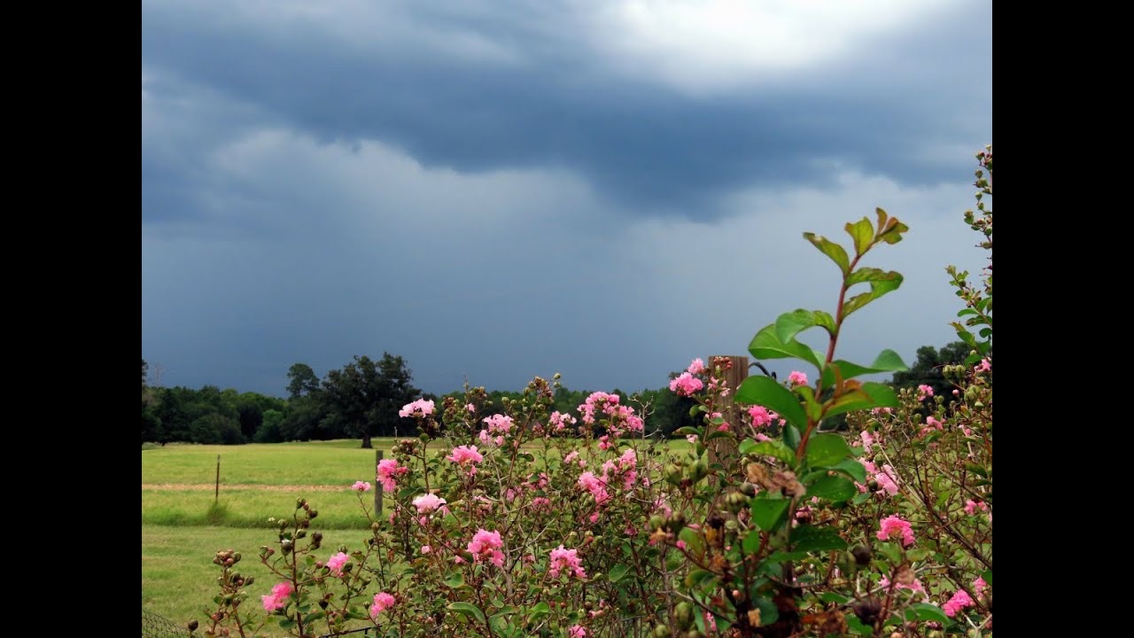 Rainbow - Late Summer 2025