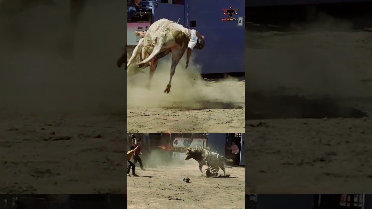 CHEQUENSE ESTA MONTA