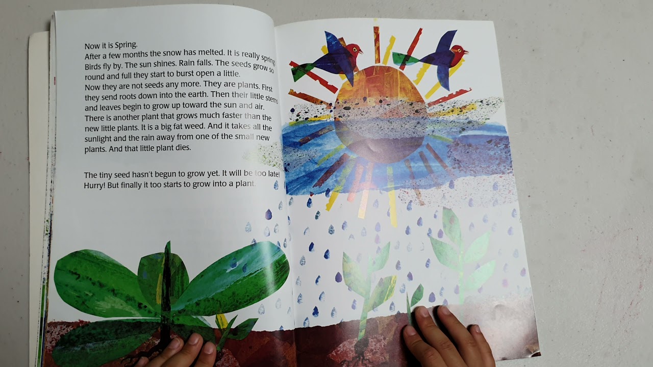 Eric carle's | The Tiny Seed | Twin books | English and Korean | Lexile 500L | Bl 2.7 | 영어원서읽기