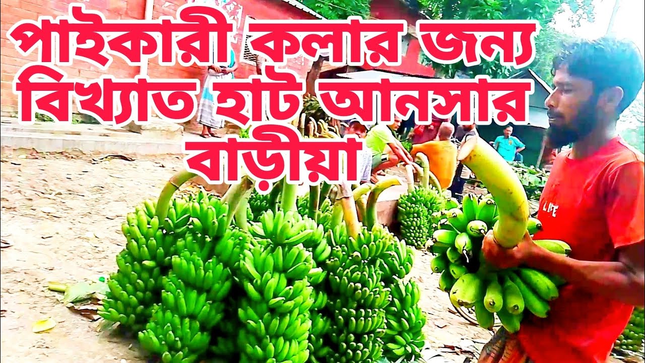 বাংলাদেশের বৃহত্তম কলার পাইকারী হাট আনসার বাড়ীয়া, চুয়াডাঙ্গা জেলার বিখ্যাত কলার হাট।Ansarbaria