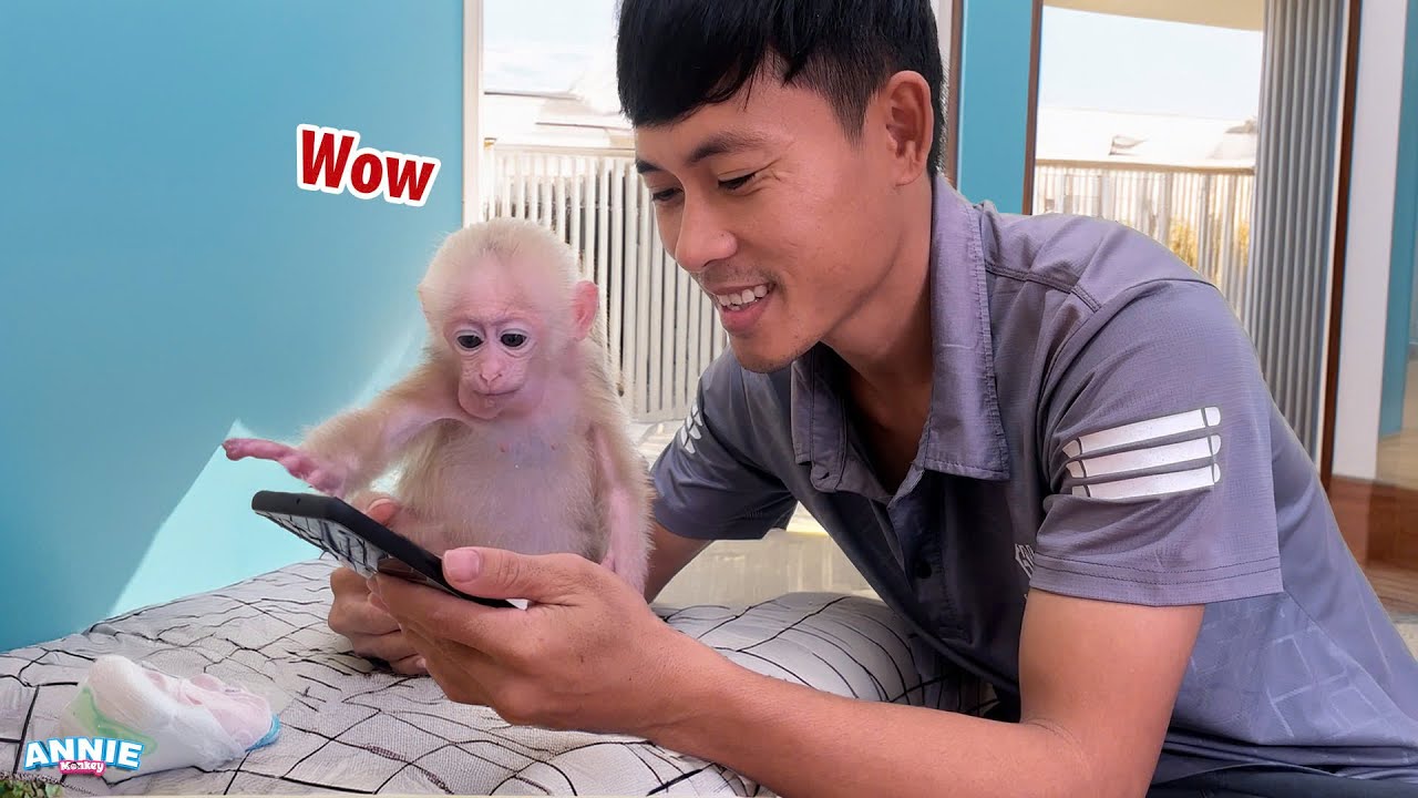 Baby monkey Annie happily welcomes the new year with her dad