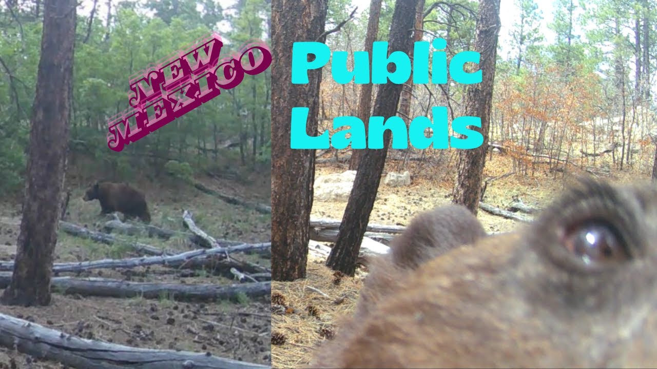 This is How we Know the Trails are Never Empty