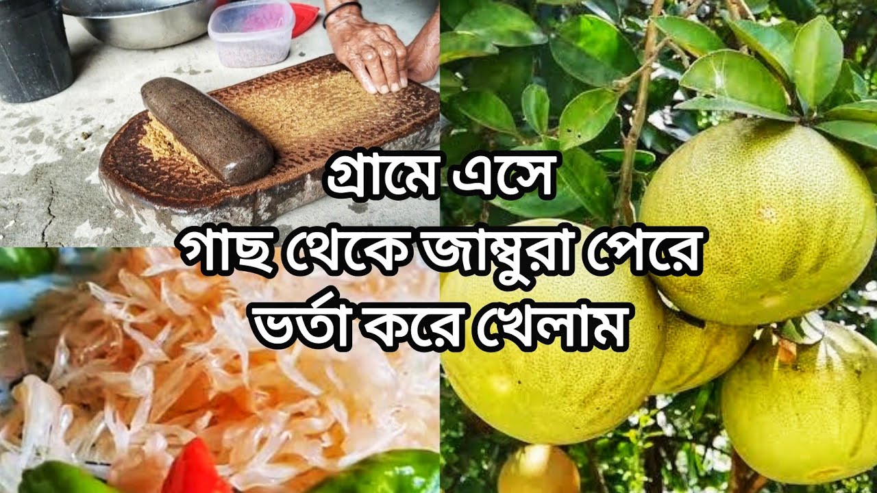 গ্রামে এসে গাছ থেকে জাম্বুরা পেরে ভর্তা করে খেলাম || My Village vlog || AR VlogSphere 