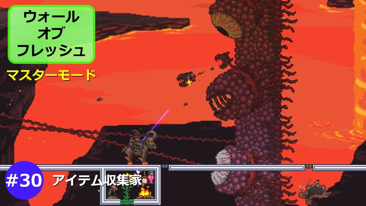 【テラリア】ウォールオブフレッシュ討伐！～アイテム収集家part30～マスターモード【ゆっくり実況】