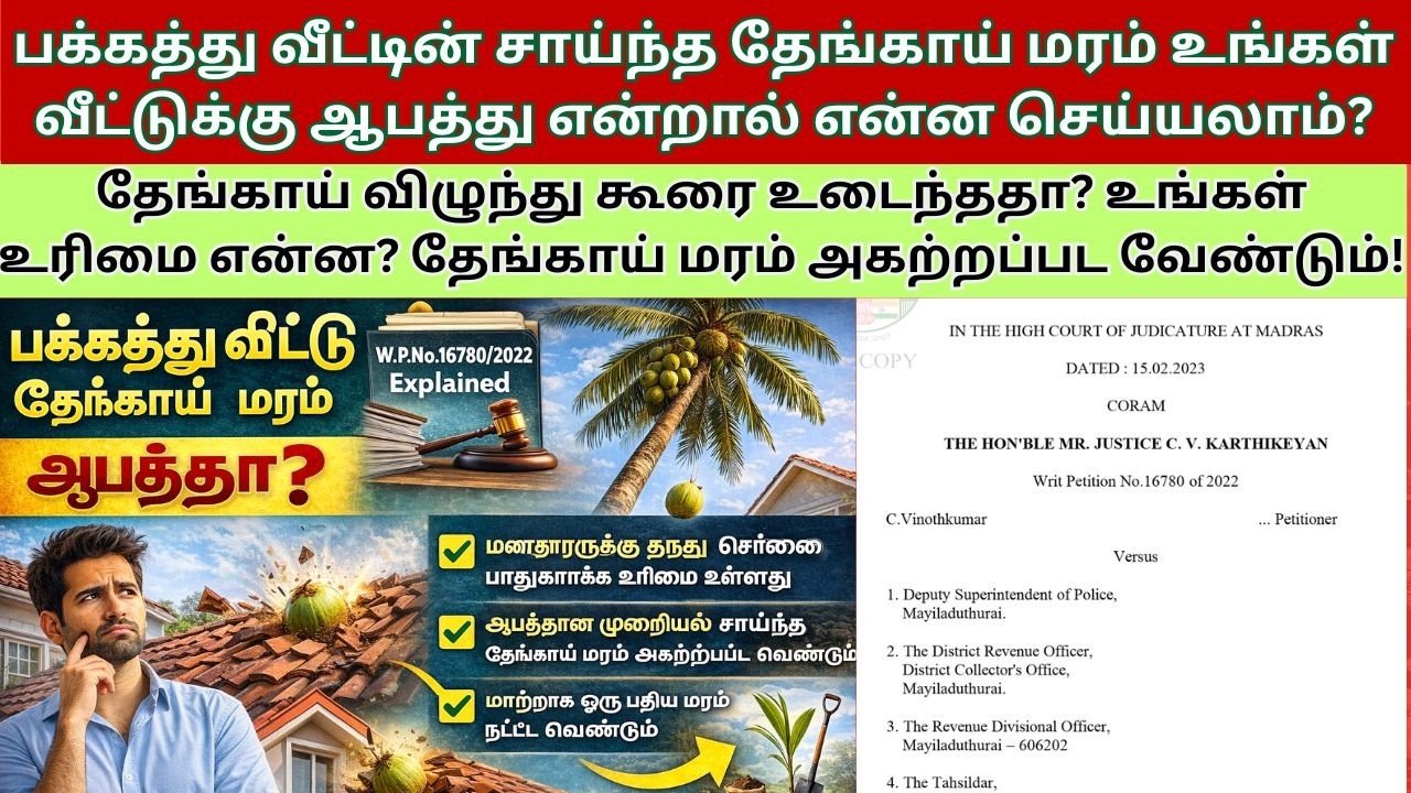 பக்கத்து வீட்டின் சாய்ந்த தேங்காய் மரம் உங்கள் வீட்டுக்கு ஆபத்து என்றால் சட்டப்படி என்ன செய்யலாம்?