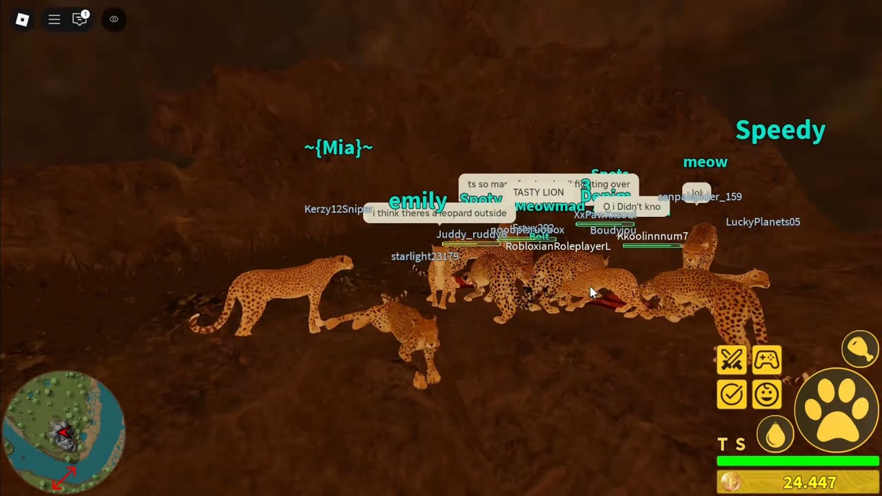Playing with a MASSIVE group of CHEETAHS! in Roblox- Savannah Life