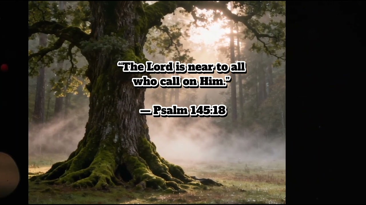 “When Your Mind Is Heavy, Rest in God (10-Min Bible Meditation)” 