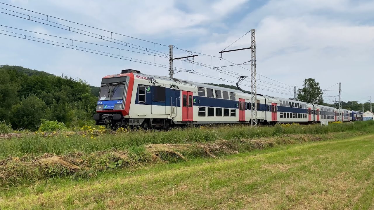 Compilation de klaxons / Train horn Compilation - &Eacute;t&eacute; 2021